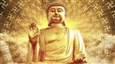 图片片