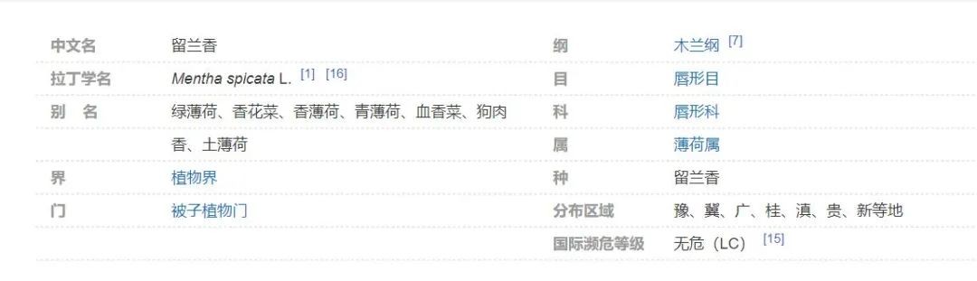 留兰香和薄荷不一样的感觉-神人佛-文文8客