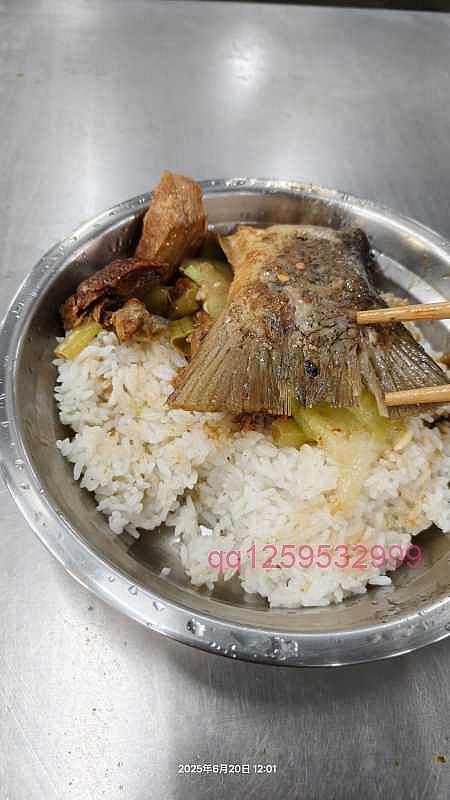 今中午的菜，大鱼大肉的。-神人佛-文文8客