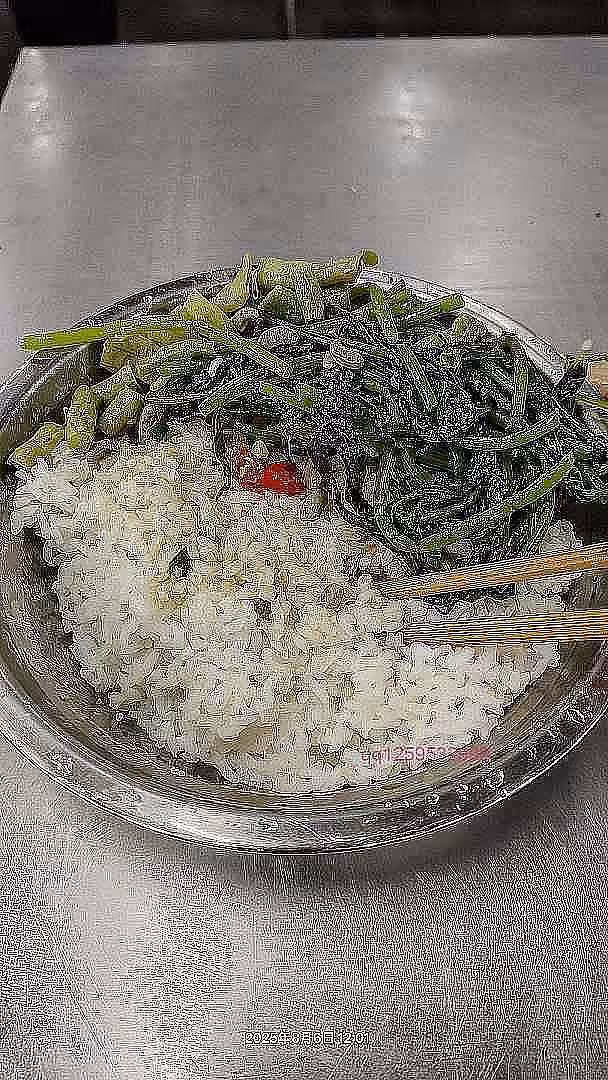 这是中午的饭，?????-神人佛-文文8客