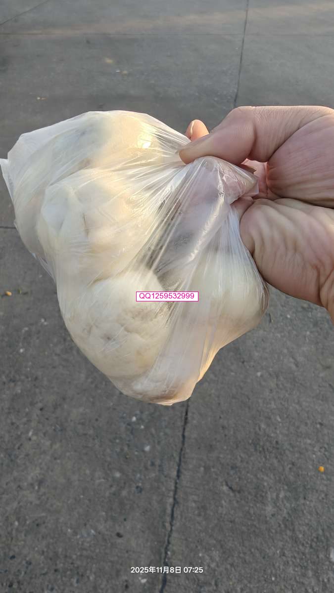 清晨七点二十五分的温度-神人佛-文文8客