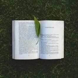 人生毒言，句句入骨-文文8客