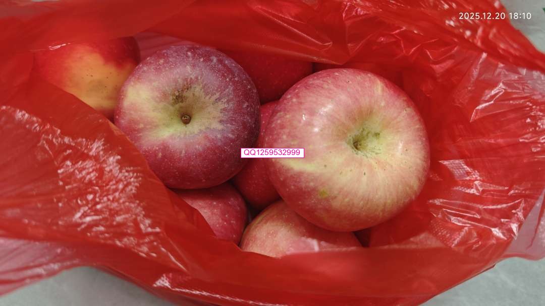 袋中苹果里的烟火与诗意-神人佛-文文8客