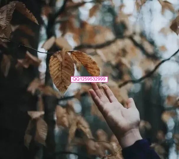 终身受益的五句话！-神人佛-文文8客