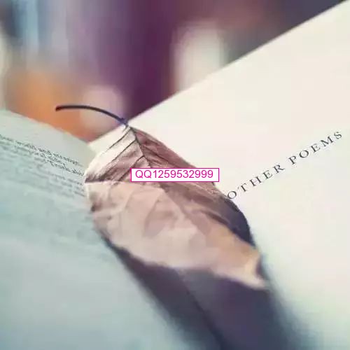 惊人的社会定律 （精辟）-神人佛-文文8客