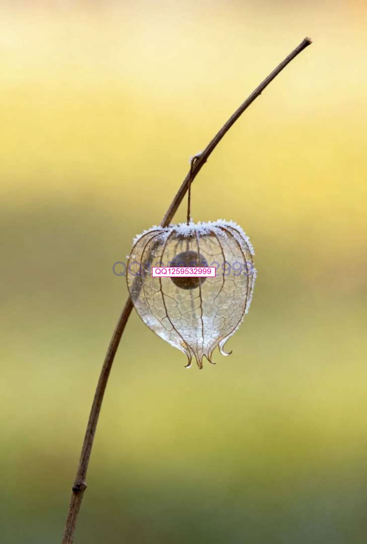 图片[4]-“男人无能，一看便知”：没出息的男人，离不开这三句话-神人佛-文文8客