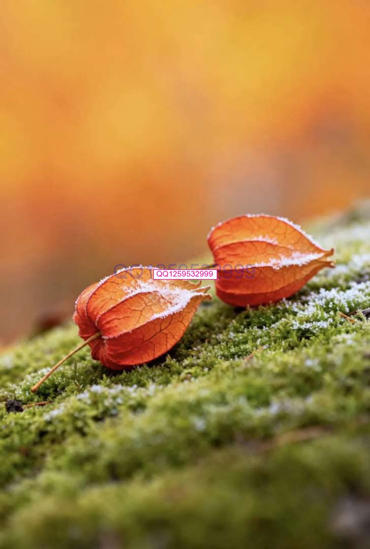 图片[3]-“男人无能，一看便知”：没出息的男人，离不开这三句话-神人佛-文文8客