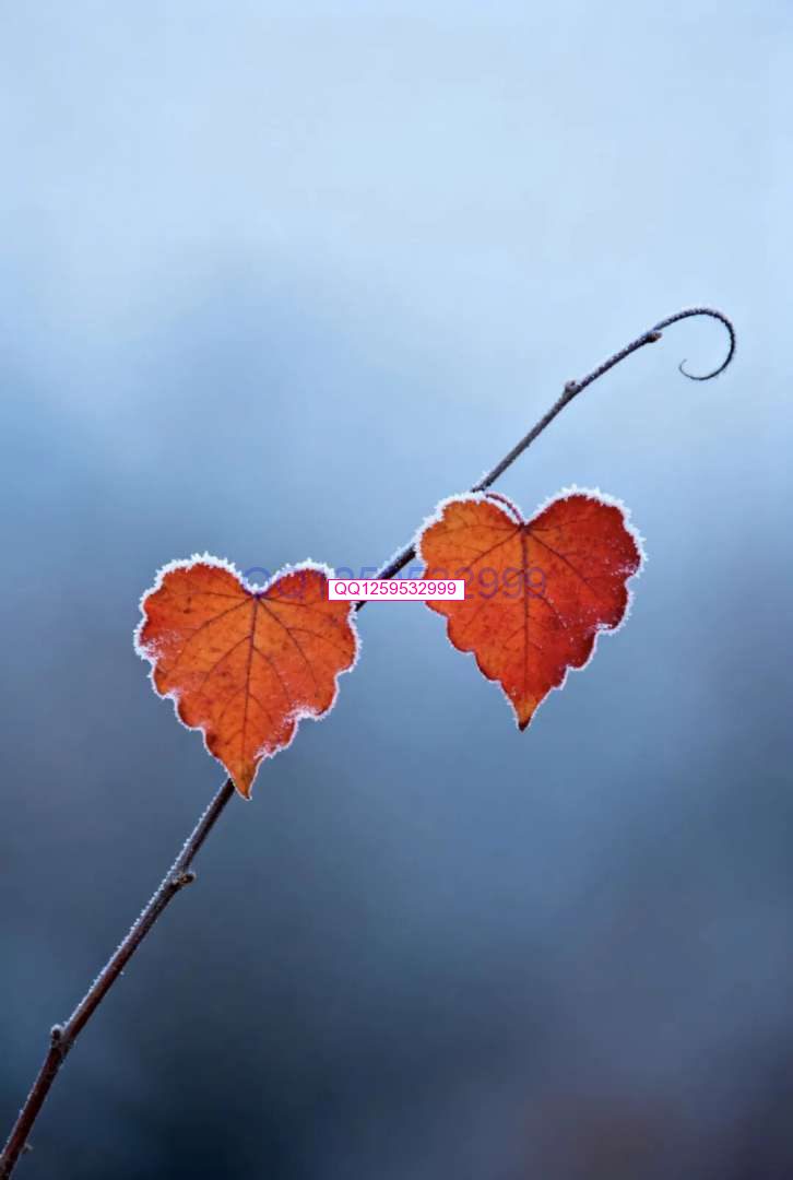 图片[2]-“男人无能，一看便知”：没出息的男人，离不开这三句话-神人佛-文文8客